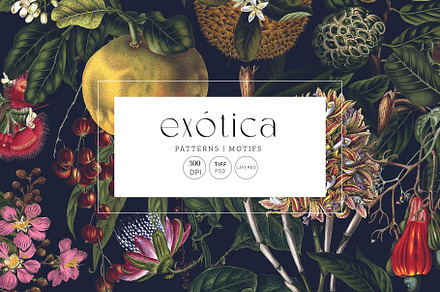 Exótica, Luxury Pattern design!