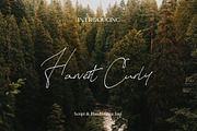 Harvest Curly, a Script Font by iyhulmonsta (Thumbnail 1 of 5)
