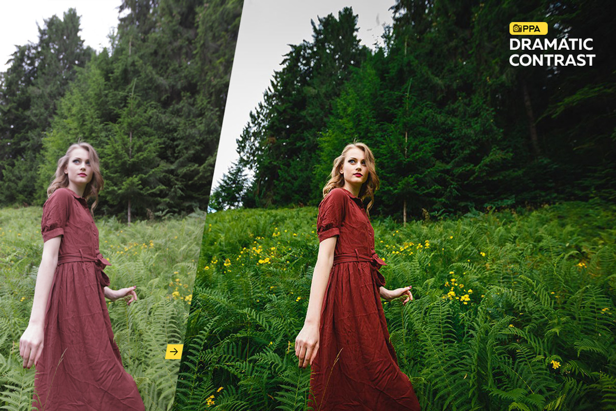 Professional Photoshop Actions, an Action Add-On by Willa (Photo 5 of 12)