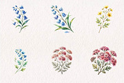 Wildflower Meadow Clipart Set, a Seasonal Illustration by CreationArt (Thumbnail 3 of 7)