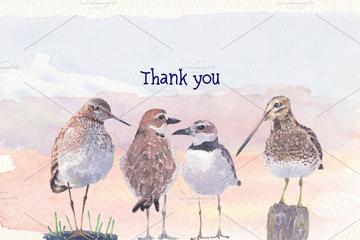 Birds of North America part 4, an Animal Illustration by Art & Things (Photo 6 of 6)