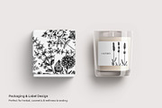 25 Medicinal Herbs Vector Collection, a Healthcare Illustration by Yevheniia (Thumbnail 8 of 11)