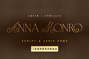 Anna Monro Cyrillic Script Serif, a Script Font by IraDvilyuk (Thumbnail 1 of 11)