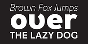 Fox Grotesque Pro, a Sans Serif Font by TipografiaRamis (Thumbnail 5 of 10)