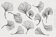 Ginkgo Leaf Watercolor Illustrations, a Seasonal Illustration by Fire Spark Studio (Thumbnail 3 of 8)