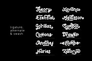 Reaf Singer Playful Font, a Script Font by Dicubit (Thumbnail 8 of 9)
