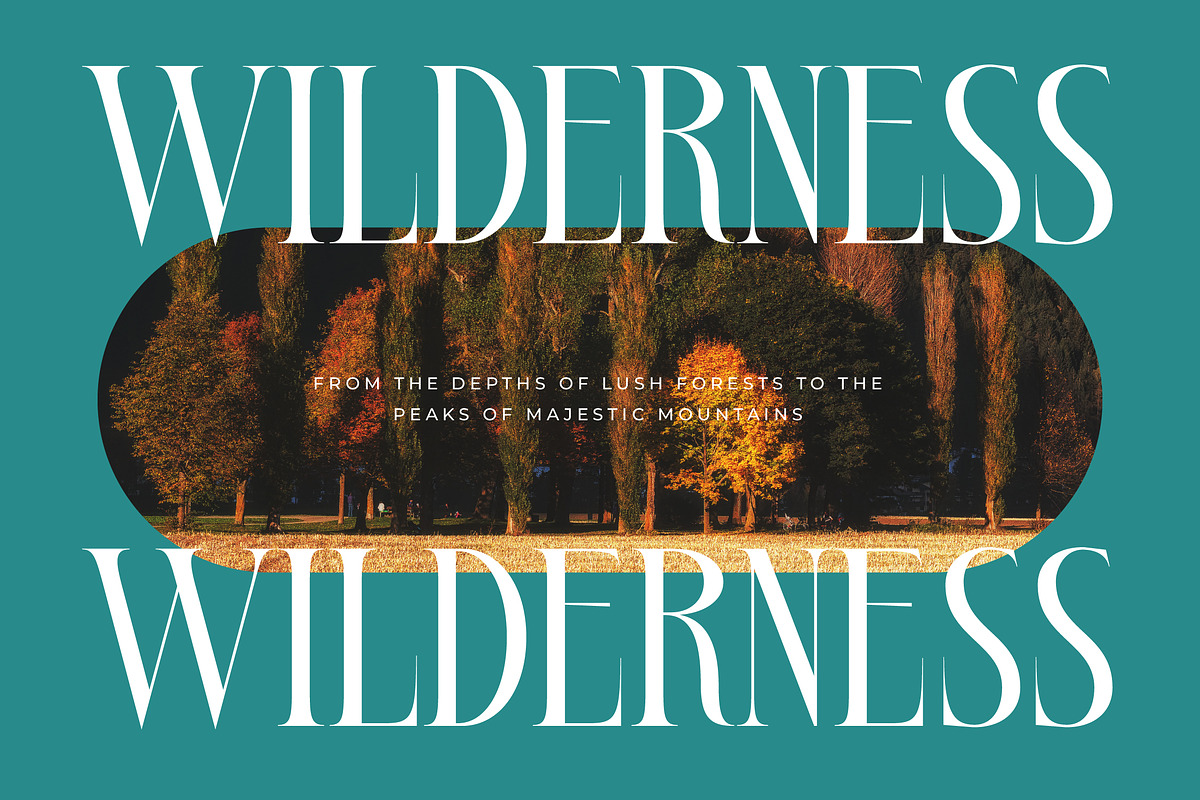 Bestsky Modern Luxury Display Serif, a Serif Font by timelesstype.co (Photo 14 of 20)