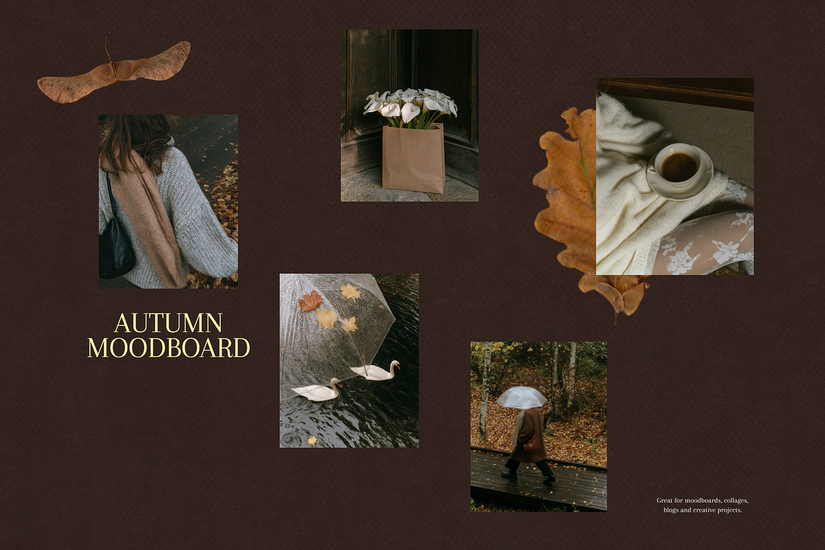 90+ Autumn Stock Photos, a Nature Photo by Trissa (Photo 11 of 12)