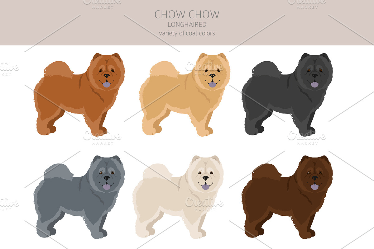 Chow chow (longhaired) clipart, an Animal Illustration by pet design shop (Photo 3 of 9)