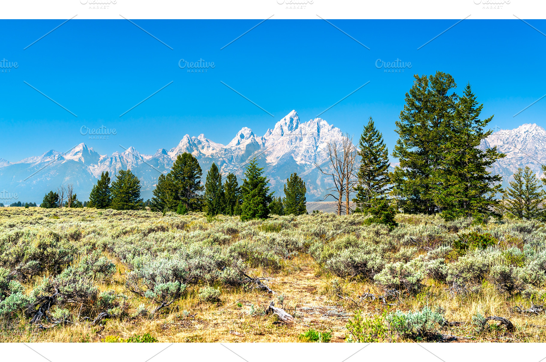 Grand Teton peaks over sagebrush, a Nature Photo by Leonid Andronov