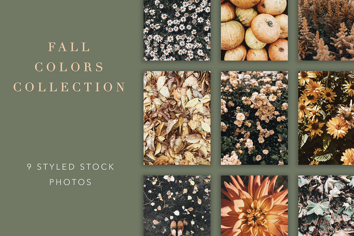 Fall Colors Collection, a Nature Photo by Floral Deco (Photo 1 of 5)