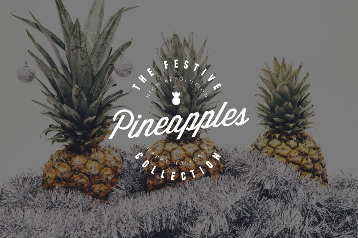 The Festive Pineapples Collection, a Holiday Photo by Pineapple Shop (Photo 5 of 5)