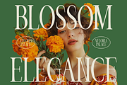 Veloria Palace Classic Serif Font, a Font by PutraCetol Studio (Thumbnail 4 of 6)
