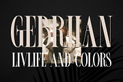 FROLES Modern Serif Font, a Serif Font by Alfinart (Thumbnail 4 of 9)