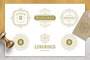 36 Luxury Ornament Logos, a Branding & Logo Template by Vasya Kobelev (Thumbnail 3 of 13)
