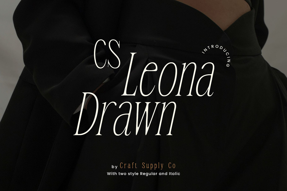 CS Leona Drawn, a Serif Font by Craft Supply Co. (Photo 1 of 8)
