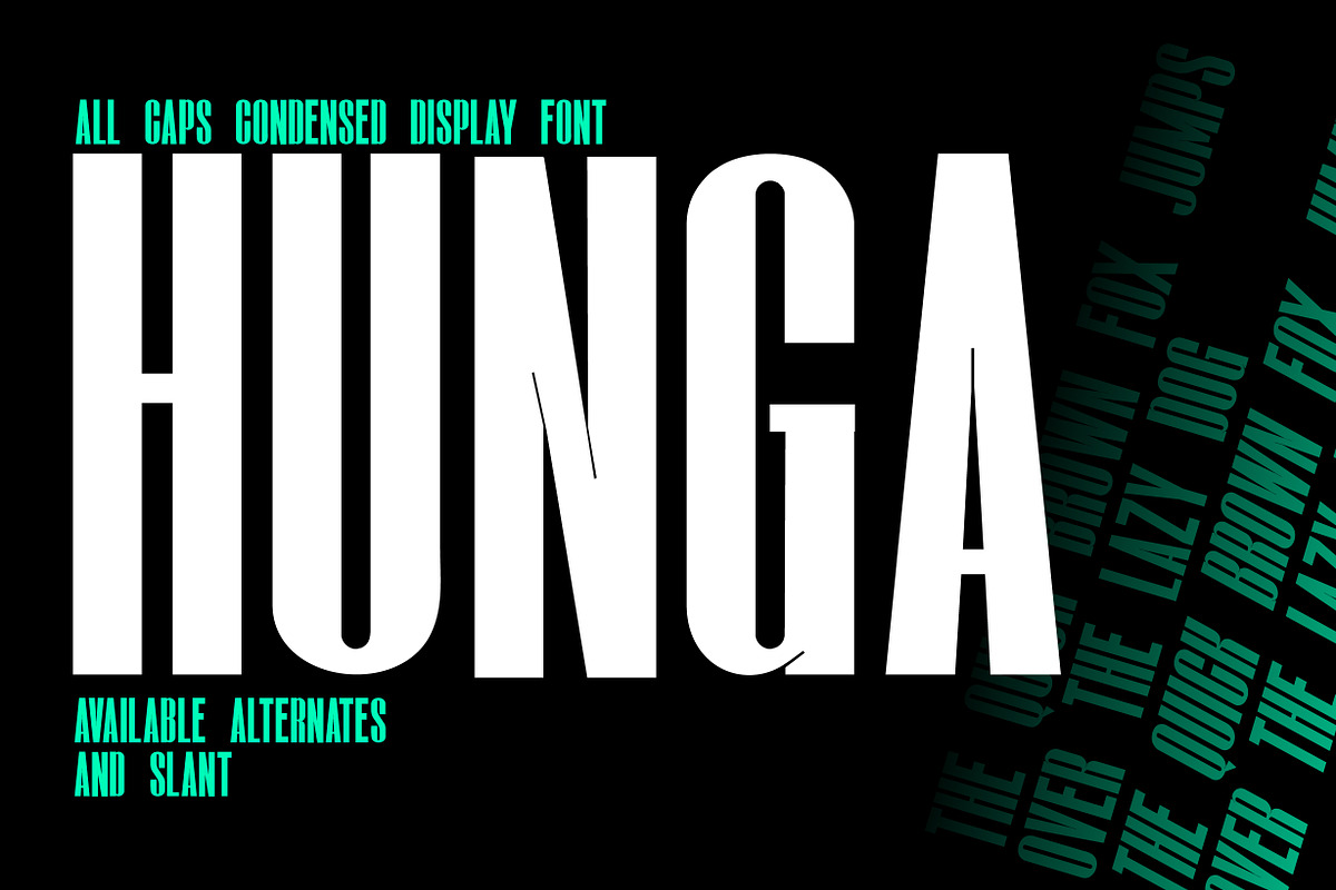 Hunga - Condensed Font, a Sans Serif Font by NuType (Photo 1 of 11)