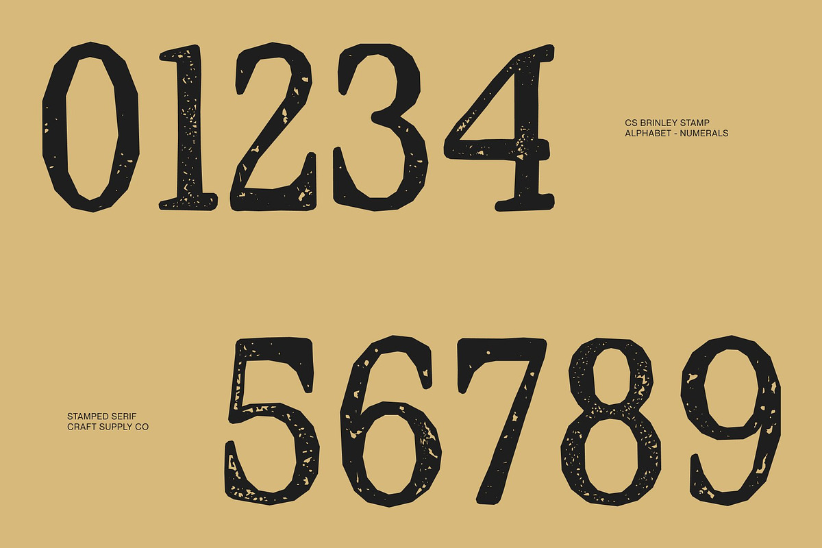 CS Brinley Stamp, a Serif Font by Craft Supply Co. (Photo 4 of 8)