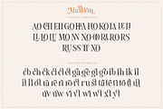 Mailton Typeface, a Serif Font by alit design (Thumbnail 8 of 23)