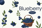 Blueberries watercolor clipart, a Food Illustration by Illustrations by Yuliia (Thumbnail 1 of 4)