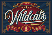 Wildcats Typeface, a Script Font by Blankids Studio (Thumbnail 1 of 14)