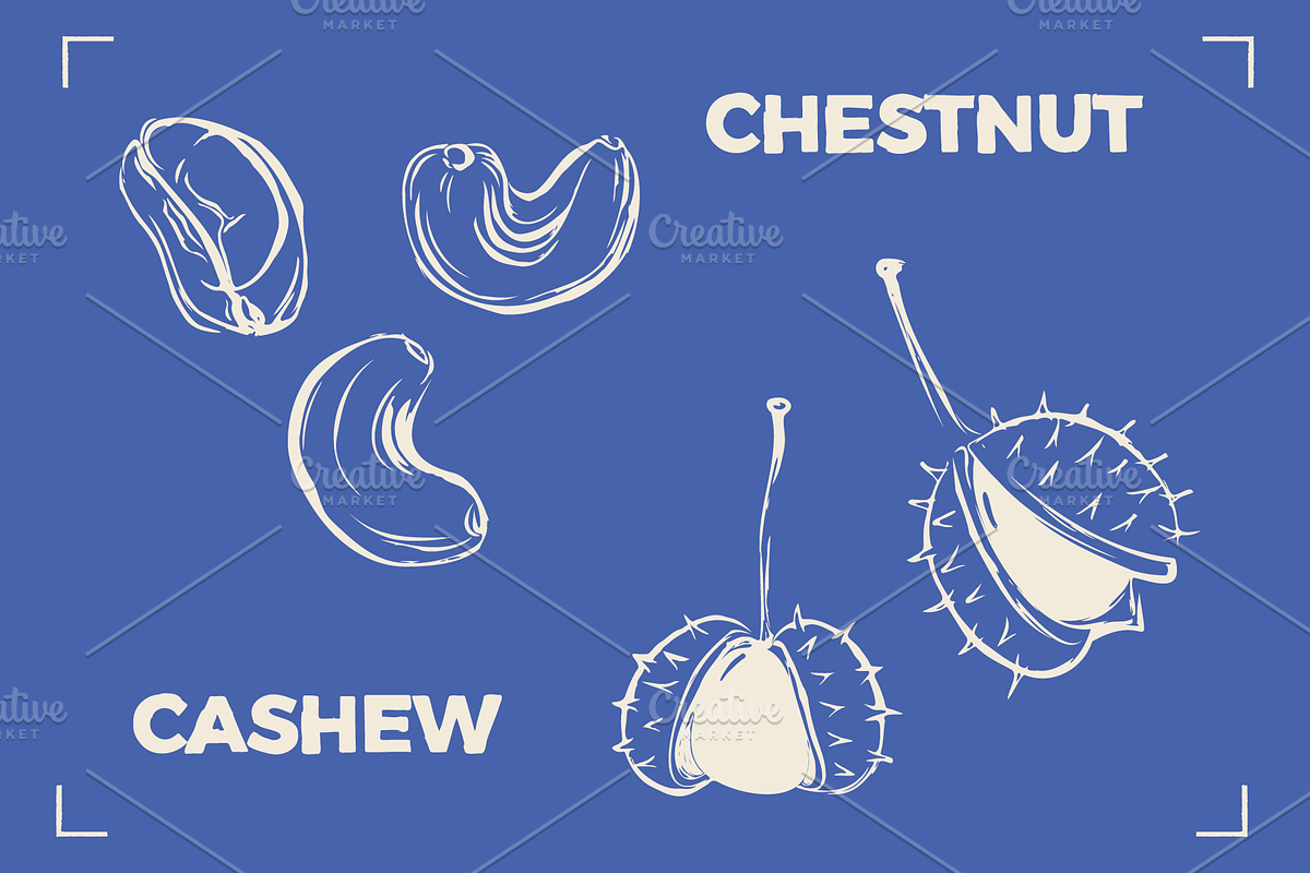 NUTS LINE ART SET (15+ elements), a Food Illustration by Bonfloret Studio (Photo 2 of 10)