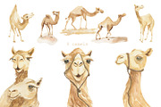 Desert. Watercolor poster set, a Decorative Illustration by Love Watercolor Store (Thumbnail 2 of 7)