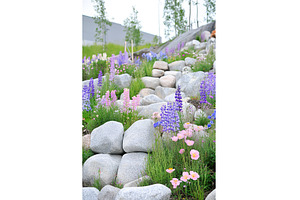 Beautiful landscape design featuring, a Nature Photo by Lermont51