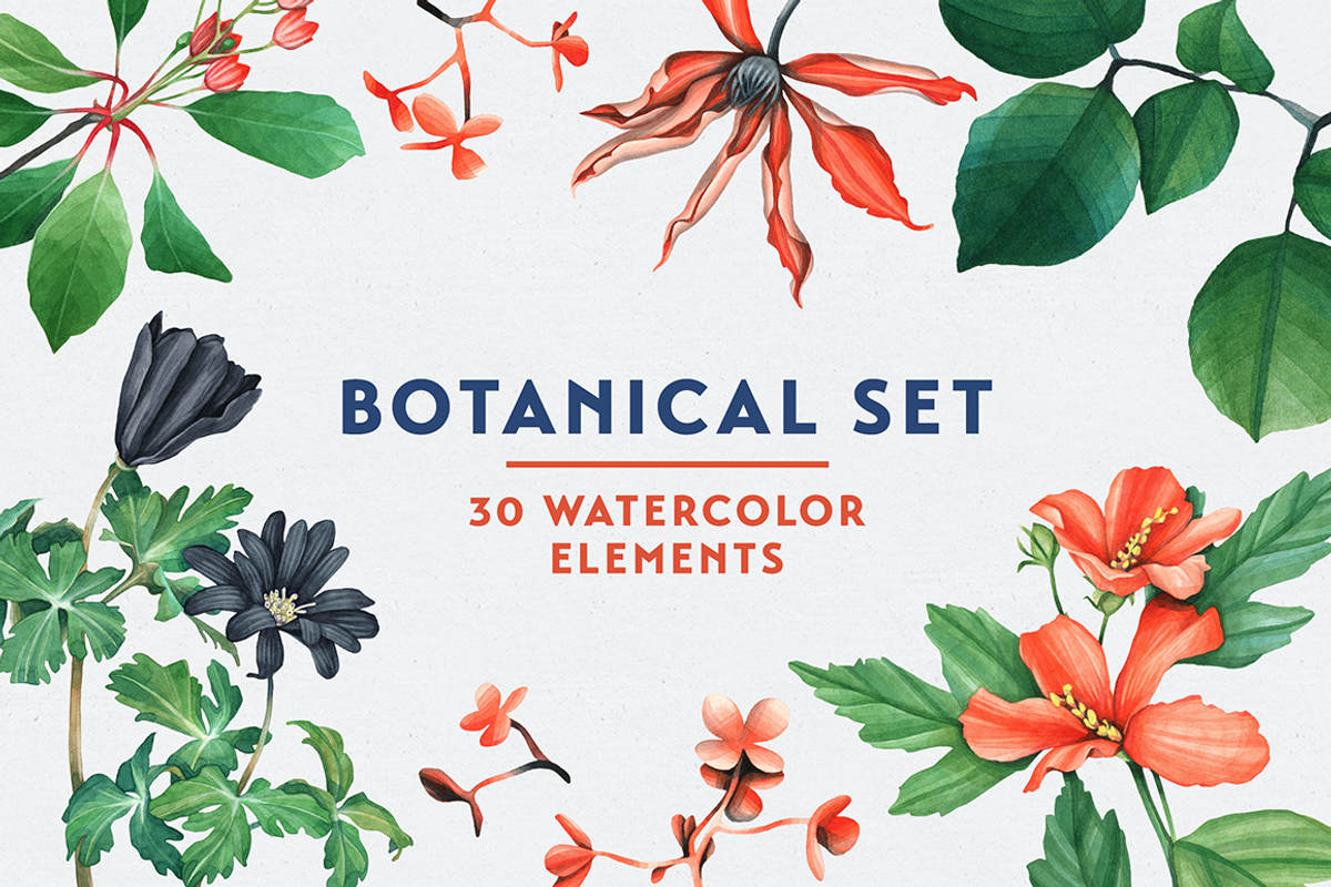 Botanical Watercolor Set, an Object Illustration by Manuka (Photo 1 of 6)