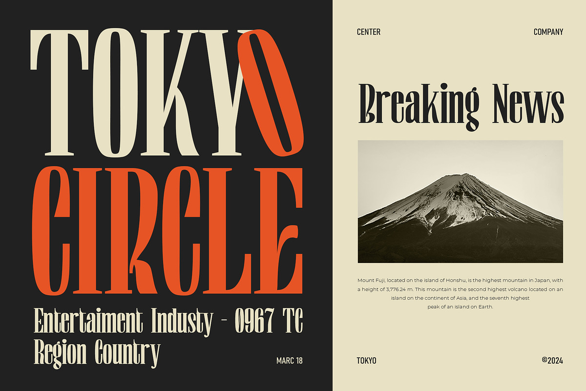 Quietness Condensed, a Serif Font by Aksapix Studio (Photo 4 of 10)