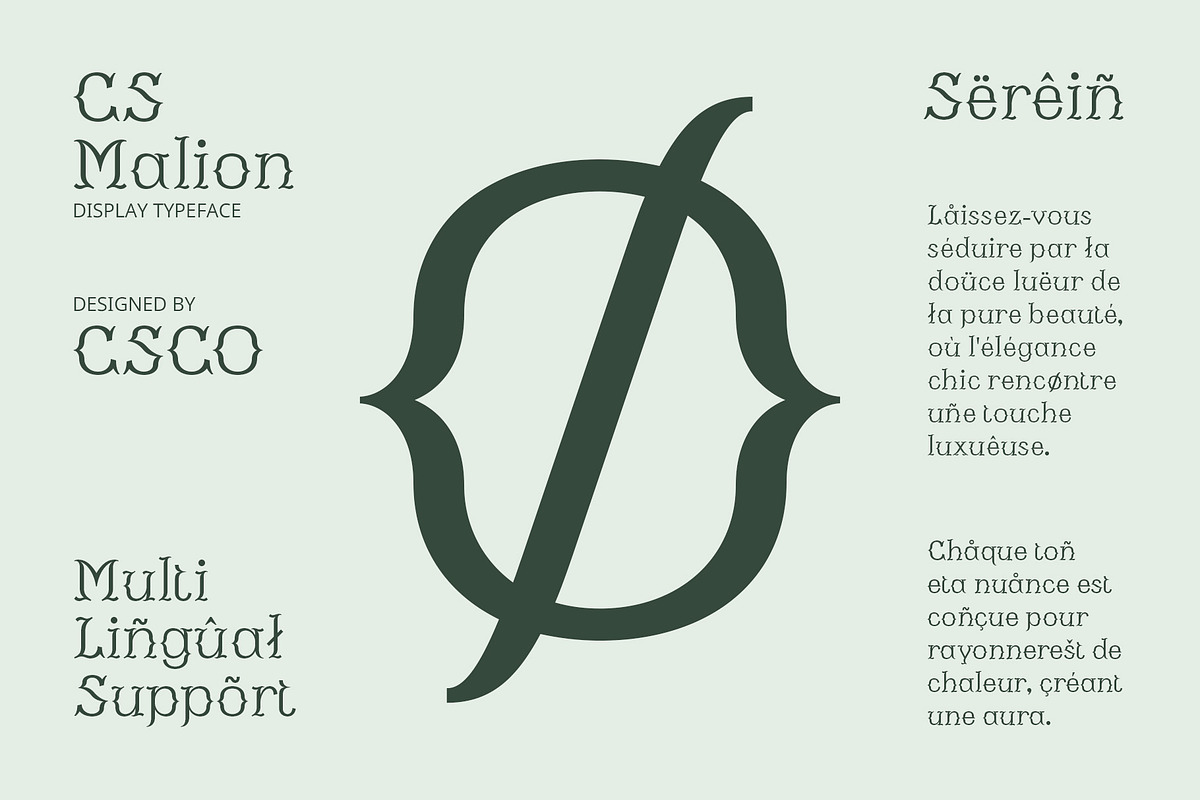 CS Malion – Classic Font, a Serif Font by Craft Supply Co. (Photo 5 of 8)