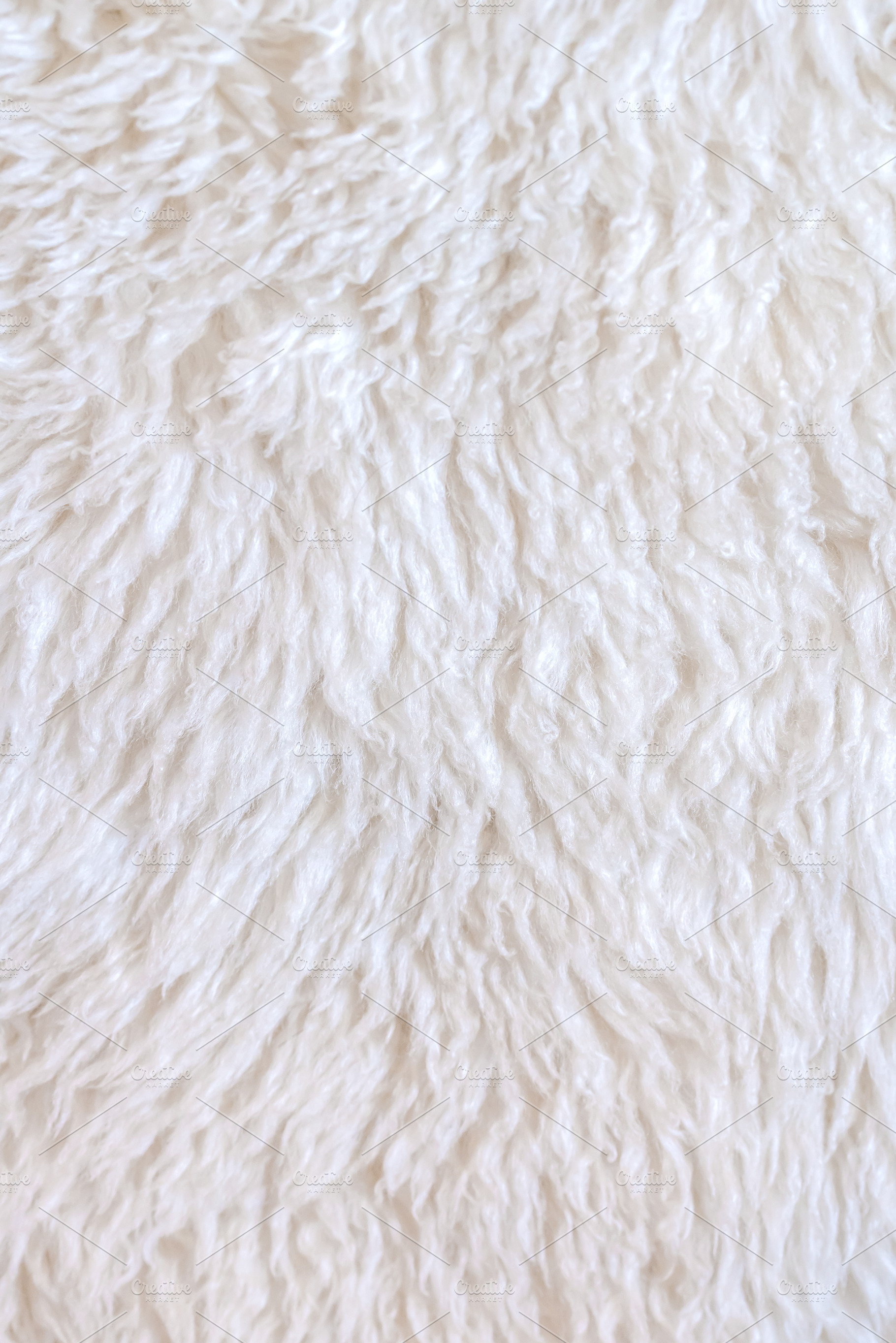 White wool sheep hair texture stock photo containing wool and texture, an Abstract Photo by Casanowe-studio