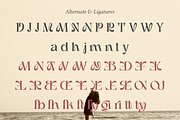 Anthy - 5 Display Family, a Serif Font by Dharmas Foundry (Thumbnail 17 of 17)