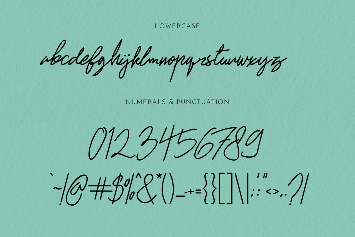 Mr. Skywhale Signature Script Font, a Handwritten Font by ashenterprise (Photo 10 of 16)
