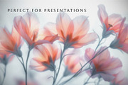 Dreamy Floral Backgrounds, a Background Graphic by Vika_Softlife (Thumbnail 7 of 8)