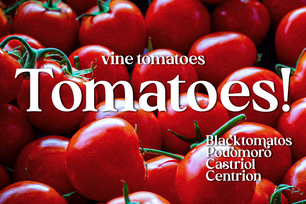 Madeline Forhes - Display Serif, a Serif Font by LuhopCreative (Photo 11 of 16)