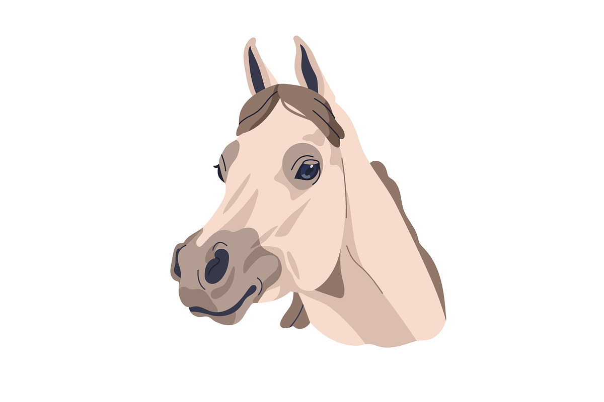 Horse heads set. Stallions breeds, an Animal Illustration by Good Studio (Photo 8 of 12)