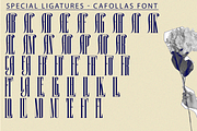 Cafollas - Condensed Font, a Serif Font by 177Studio (Thumbnail 8 of 9)