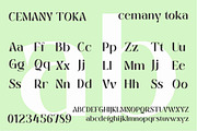 Cemany Toka, a Serif Font by studiobasic (Thumbnail 7 of 9)
