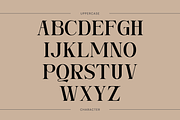 Ngetic Modern - Branding Logo Font, a Serif Font by Nirmana Visual (Thumbnail 2 of 10)