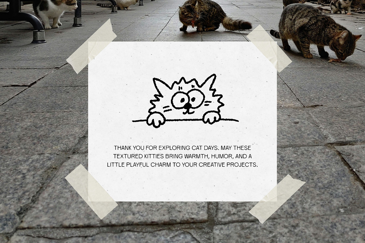 Cat Days: 100 Textured Kitties Pack, an Animal Illustration by Veyla (Photo 14 of 14)