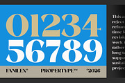 Fanilex, a Serif Font by Propertype (Thumbnail 8 of 16)