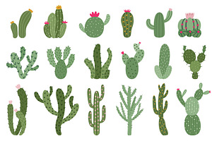 Cute Cactus. Succulents And Cacti