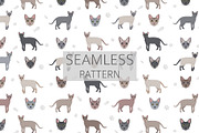 Thai Lilac cat, an Animal Illustration by pet design shop (Thumbnail 6 of 6)
