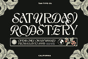 TAN - CALIFORNIA, a Serif Font by TanType (Thumbnail 13 of 16)