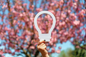 Hand holding a white light bulb icon in front of blooming pink c, a Nature Photo by Ales Munt