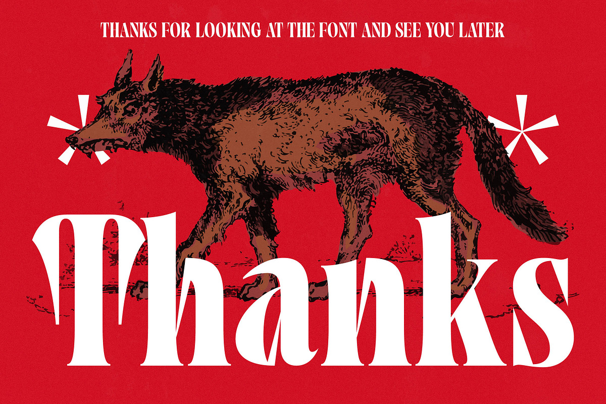 Tieldsa Bold Serif Display Font, a Serif Font by timelesstype.co (Photo 20 of 20)