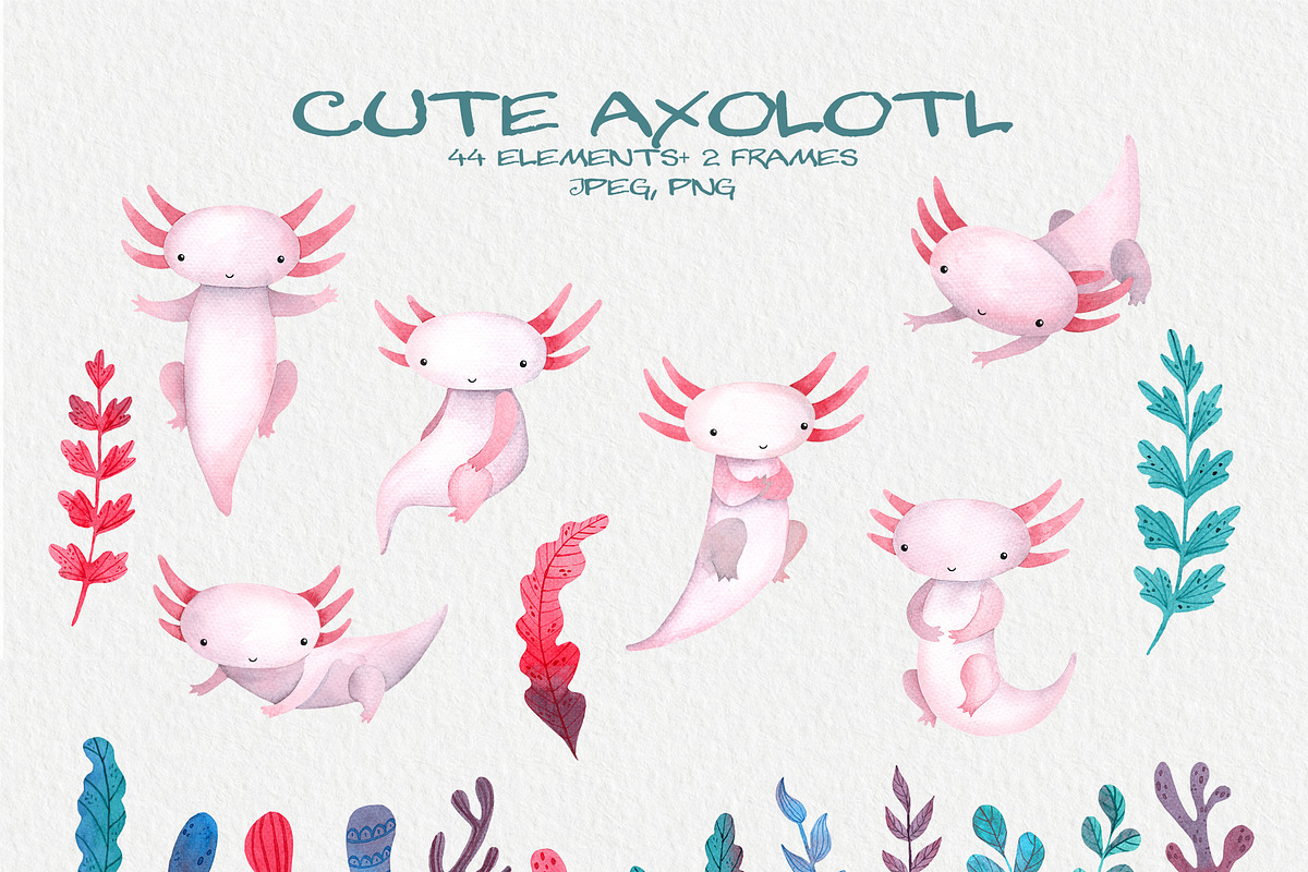 Cute Watercolor Pink Axolotl, an Animal Illustration by LukaJreym (Photo 9 of 9)