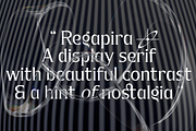 Rega Pira - Elegant Serif Family, a Serif Font by Differentialtype (Thumbnail 8 of 12)