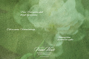 Veine Verte Botanical Backgrounds, a Background Graphic by alonahaidash (Thumbnail 4 of 20)